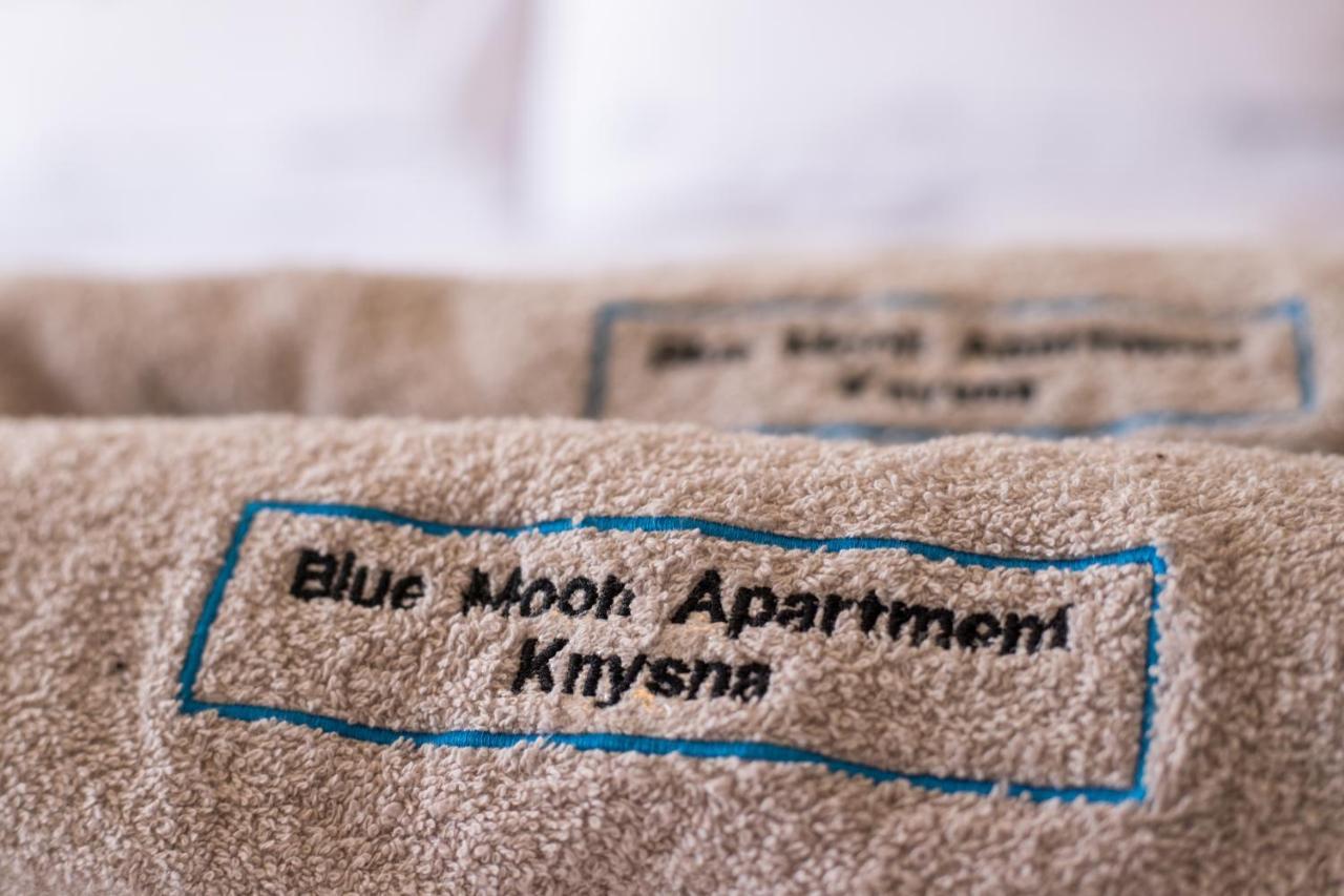 Blue Moon Apartments 克尼斯纳 外观 照片